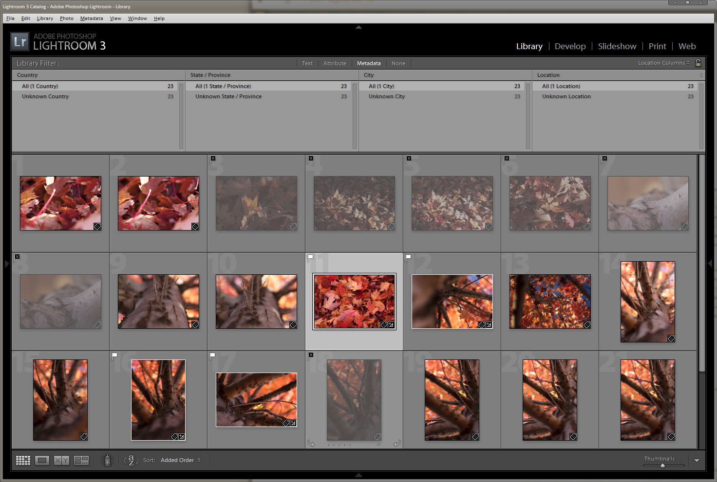 lightroom photography plan