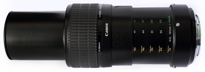 Canon MP-E 65mm F/2.8 1-5X Macro Lens Experience « Stack Exchange